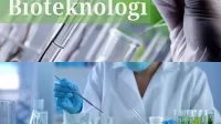 bioteknologi