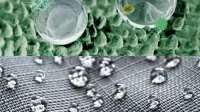 Nanoteknologi dan Industri Tekstil